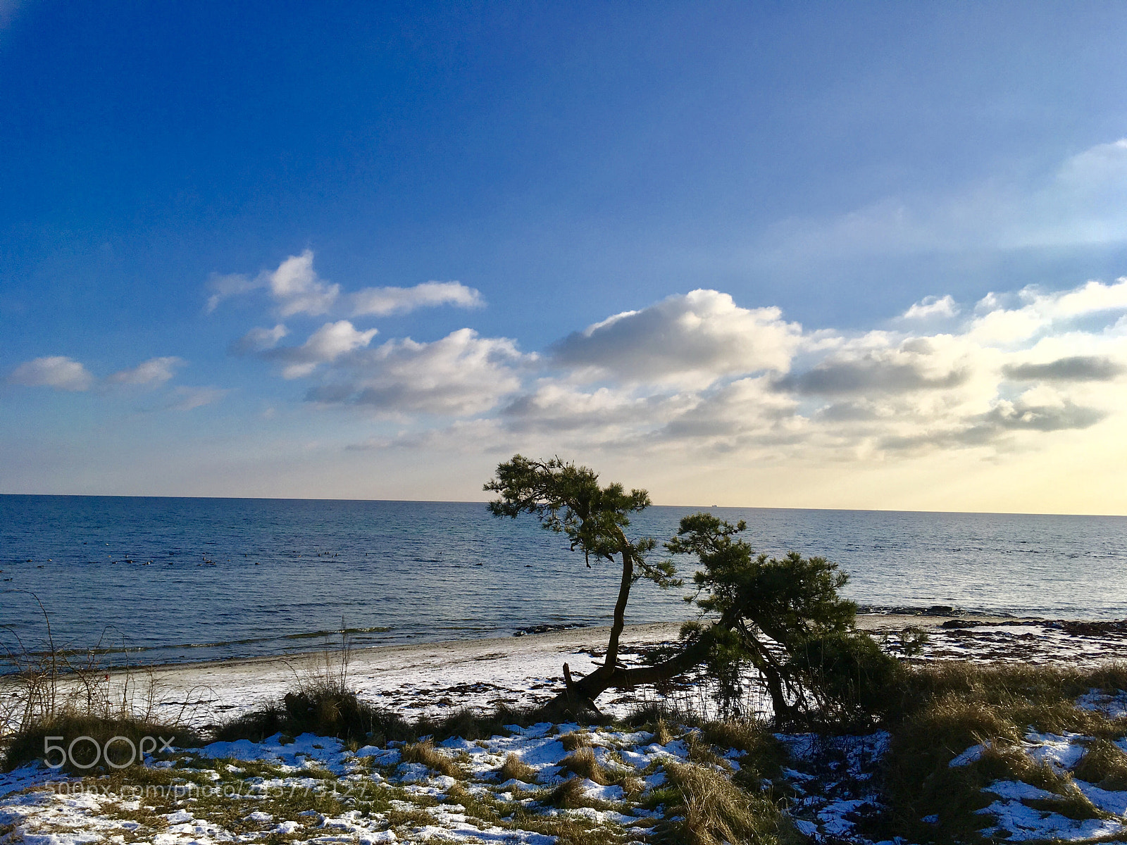 Apple iPhone SE sample photo. Danish beach photography