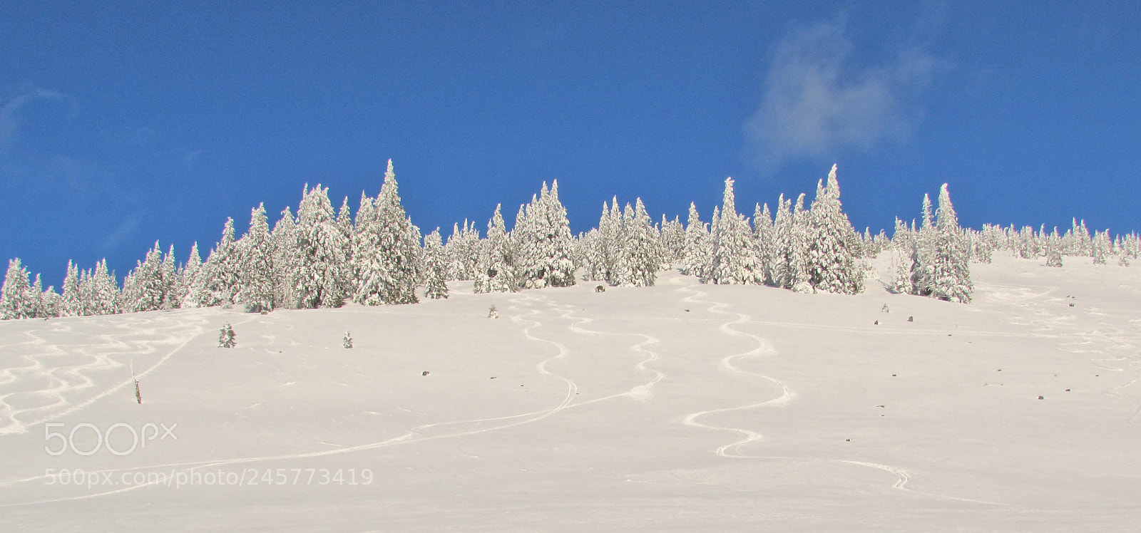 Canon PowerShot SX510 HS sample photo. Tracks in the snow01 photography