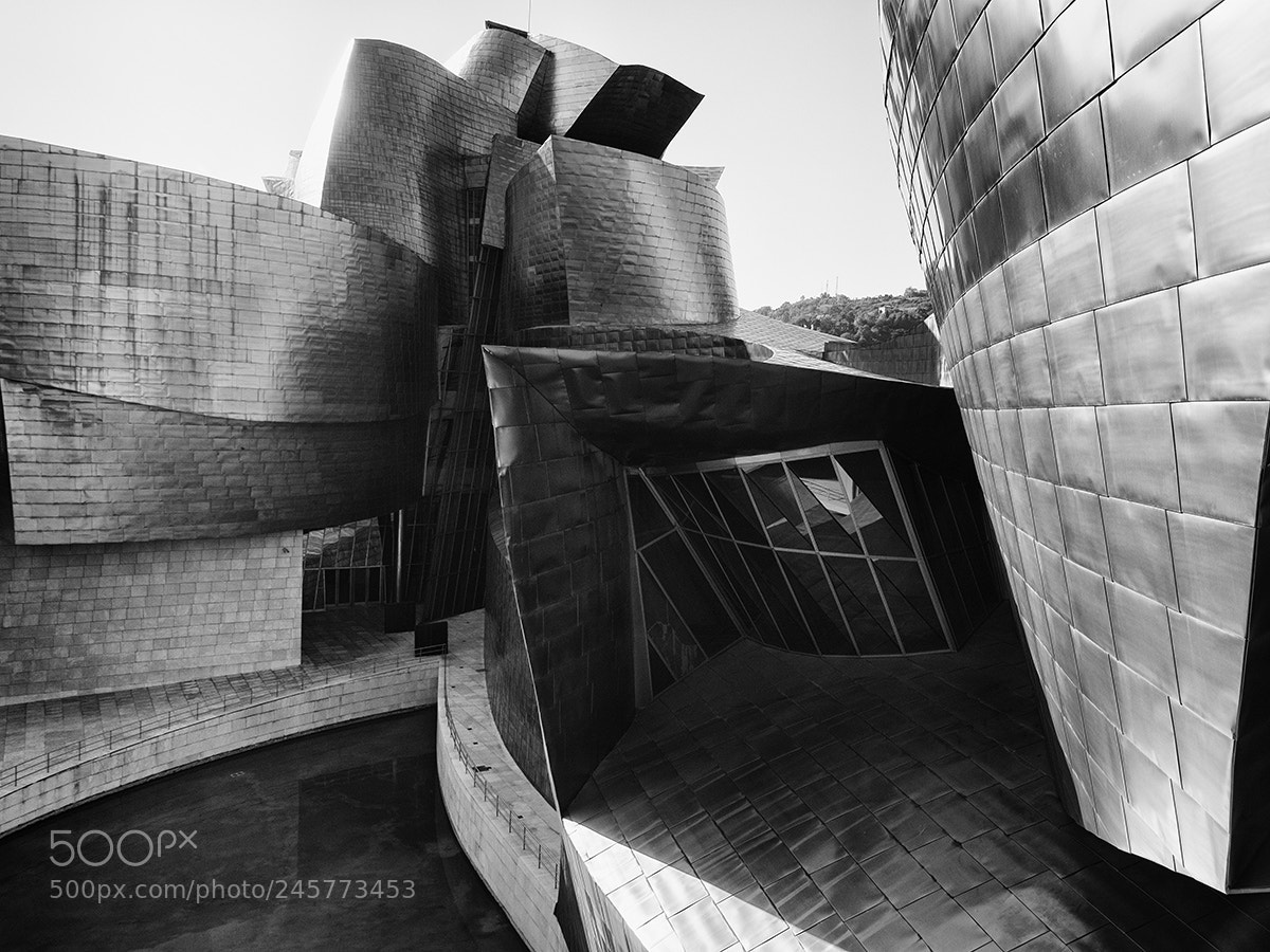 Olympus OM-D E-M5 sample photo. Guggenheim-museum photography