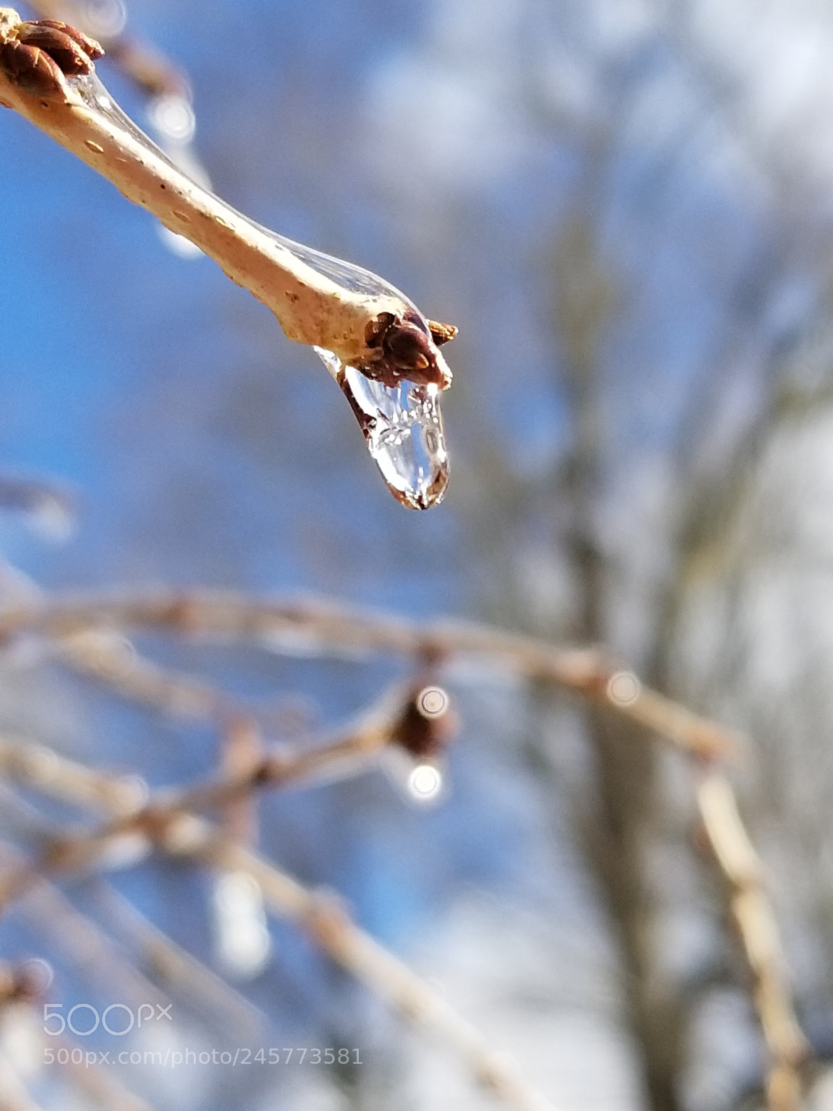 Samsung Galaxy S8 sample photo. Untitled photography
