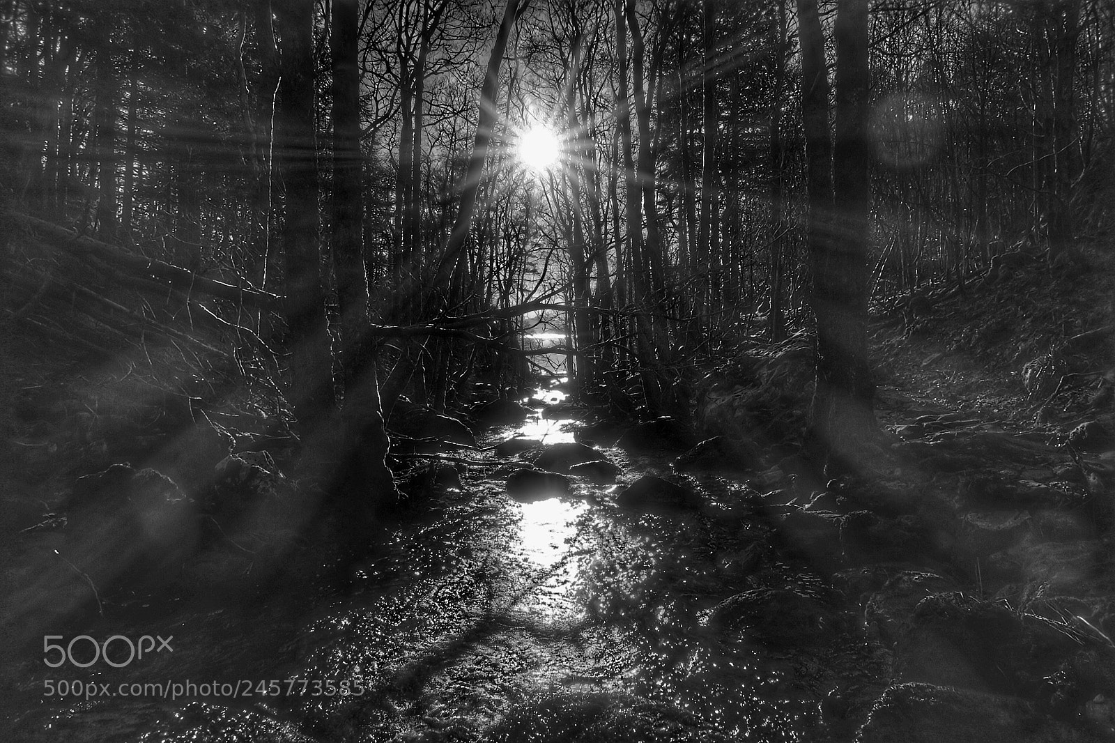 Canon PowerShot G7 X sample photo. Blacknwhite sun photography