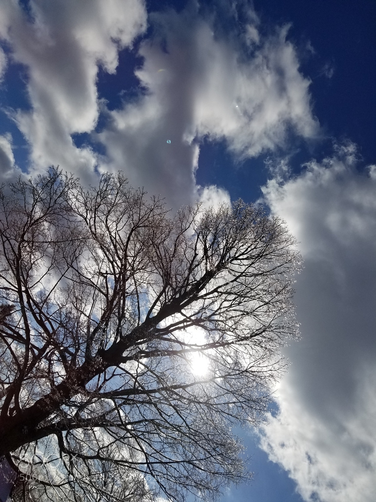 Samsung Galaxy S8 sample photo. Untitled photography