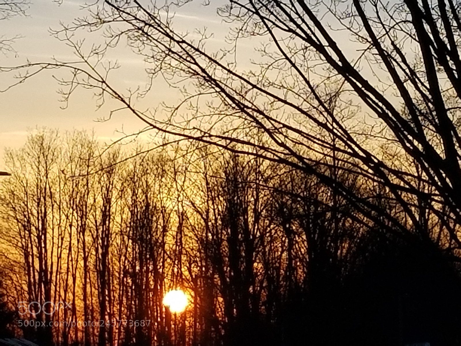 Samsung Galaxy S8 sample photo. Untitled photography