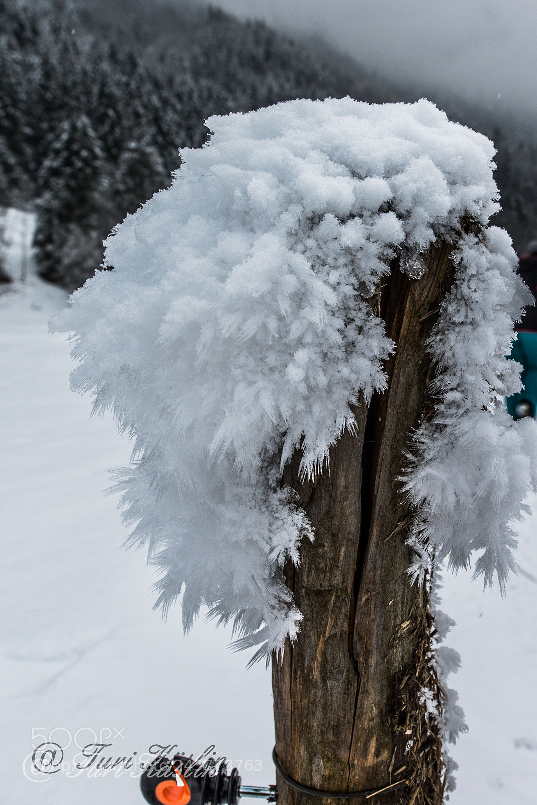 Nikon D800E sample photo. Raureif photography