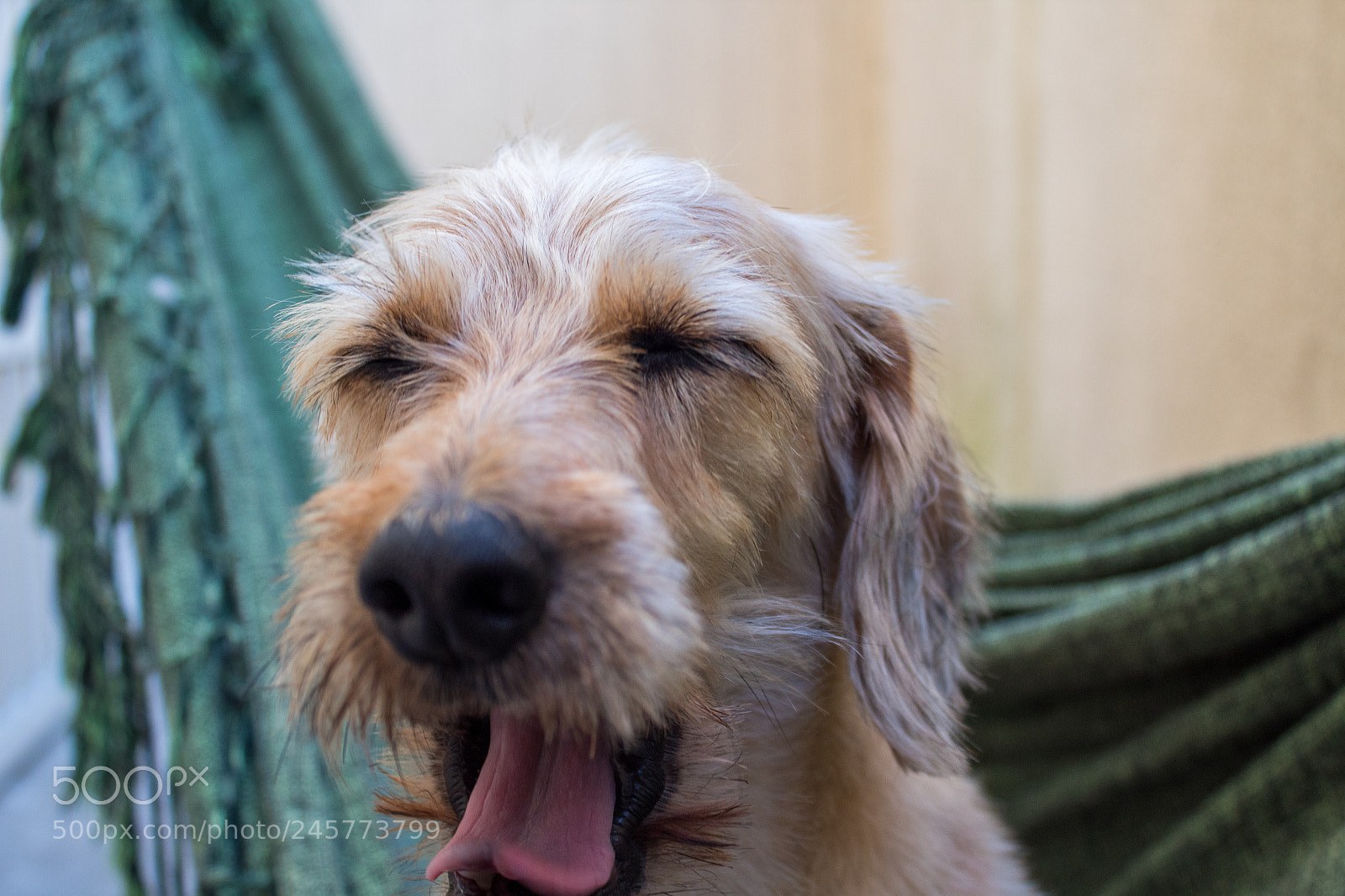 Canon EOS 1300D (EOS Rebel T6 / EOS Kiss X80) sample photo. Sleep time photography