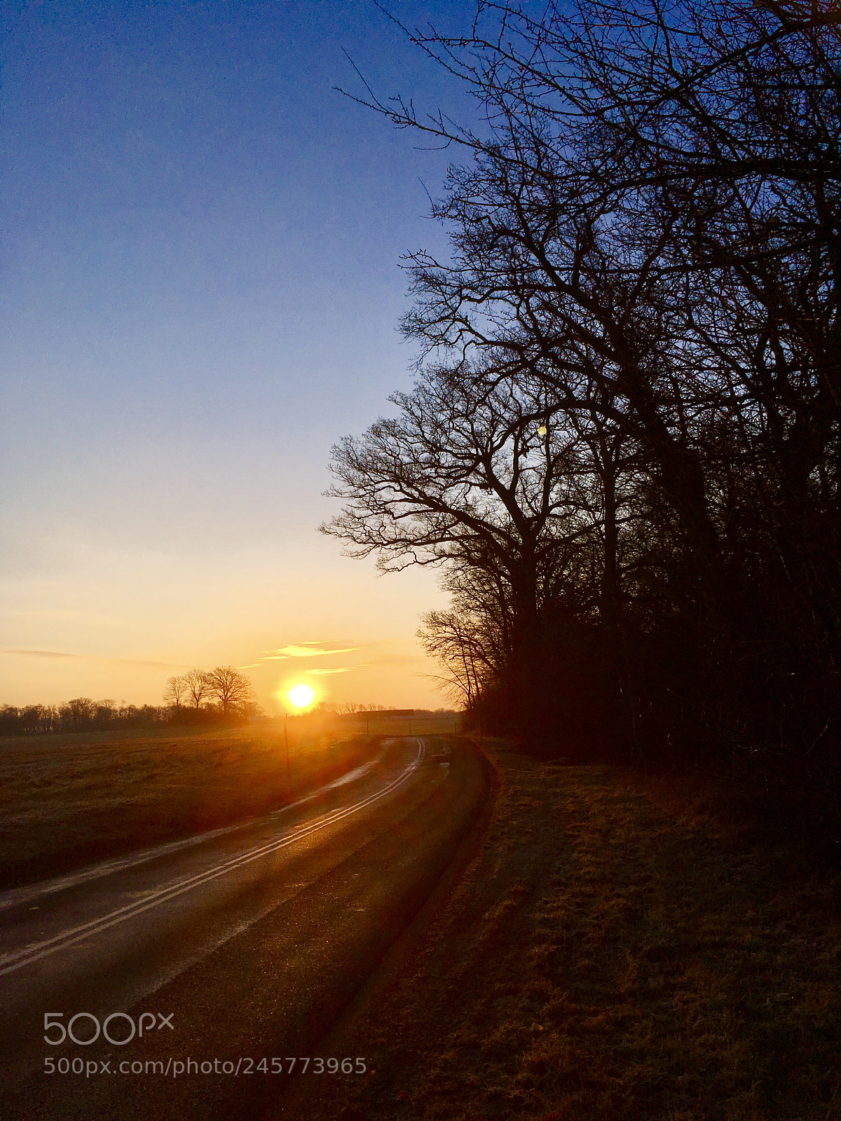 Apple iPhone SE sample photo. Drive to the sun photography