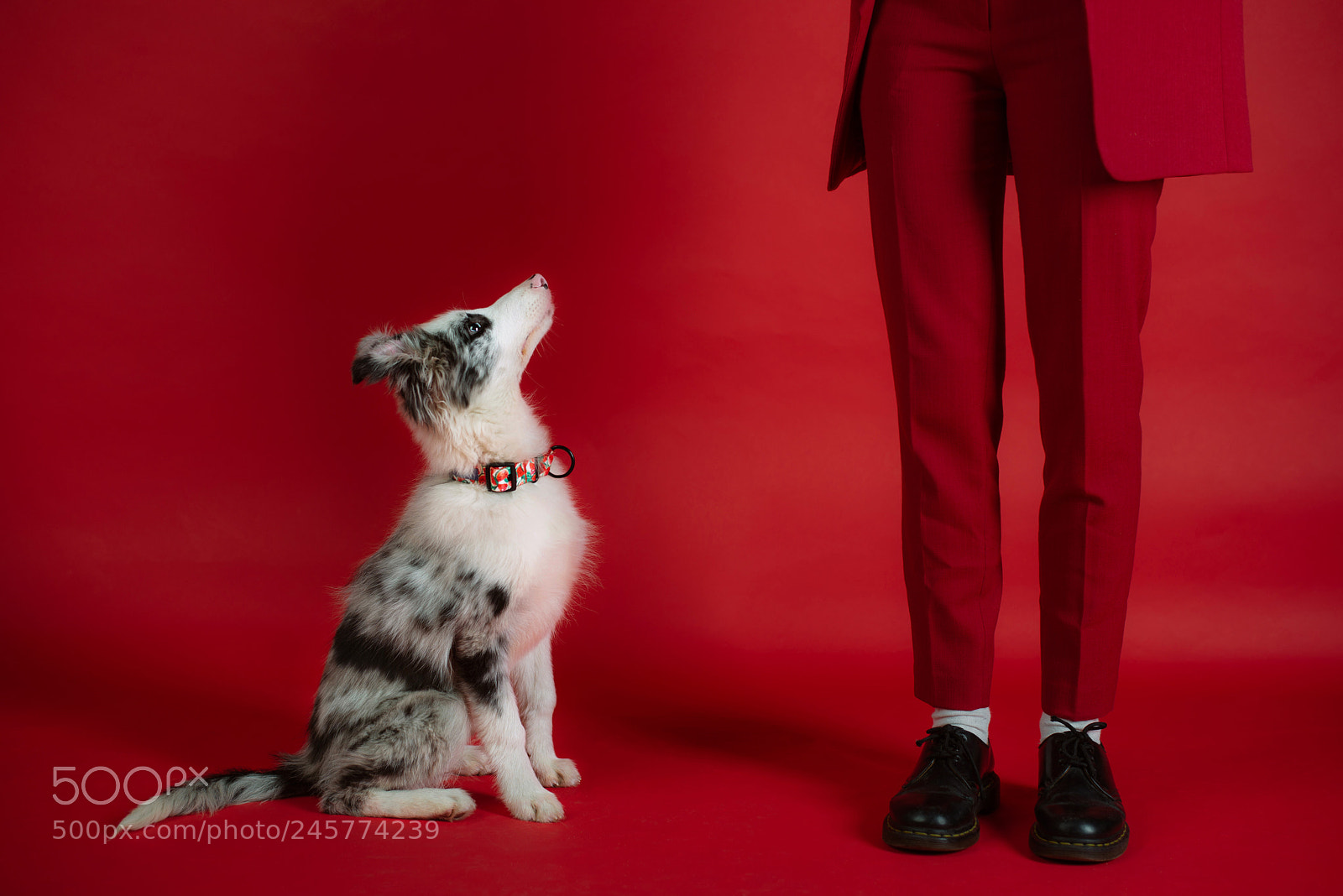 Nikon D610 sample photo. Red set photography