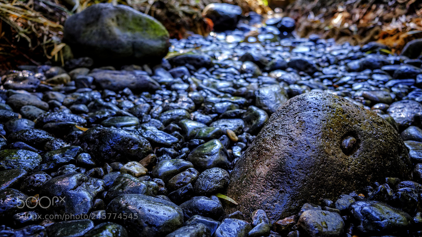 Fujifilm X-T20 sample photo. Stone eye photography