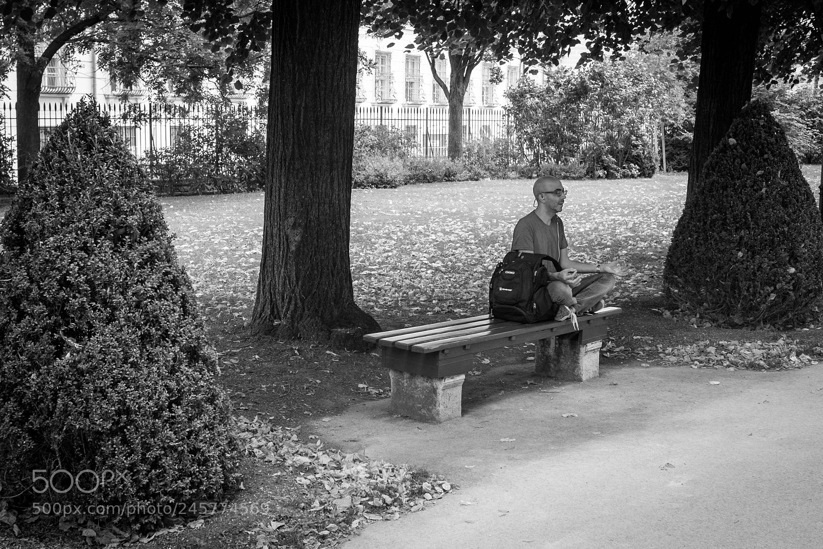 Fujifilm X100T sample photo. Zen photography