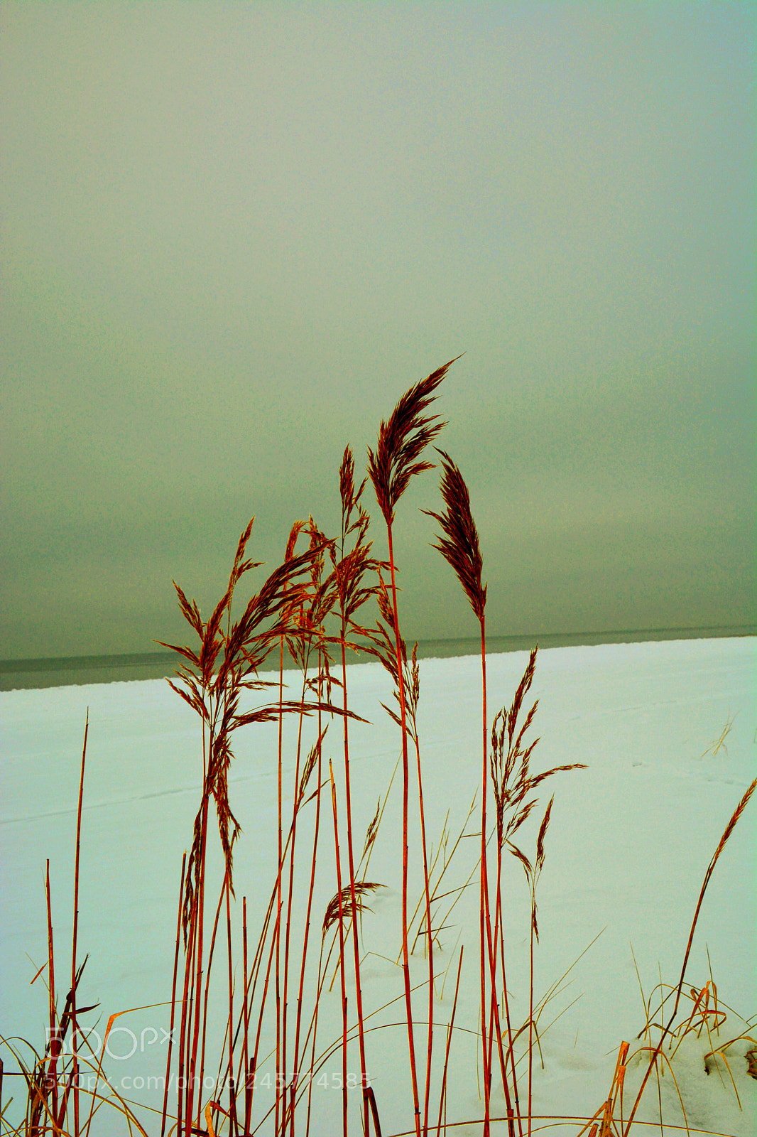 Nikon D5200 sample photo. Solitude photography