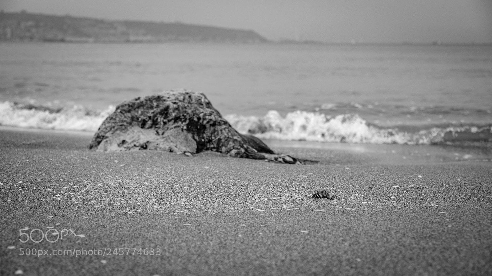 Fujifilm X-T20 sample photo. Untitled photography
