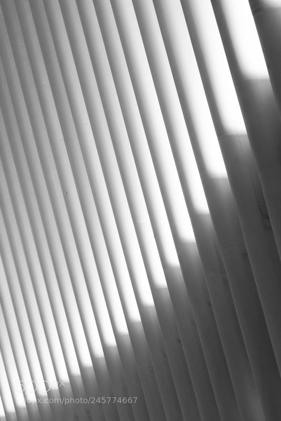 Nikon D90 sample photo. Oculus bending light photography