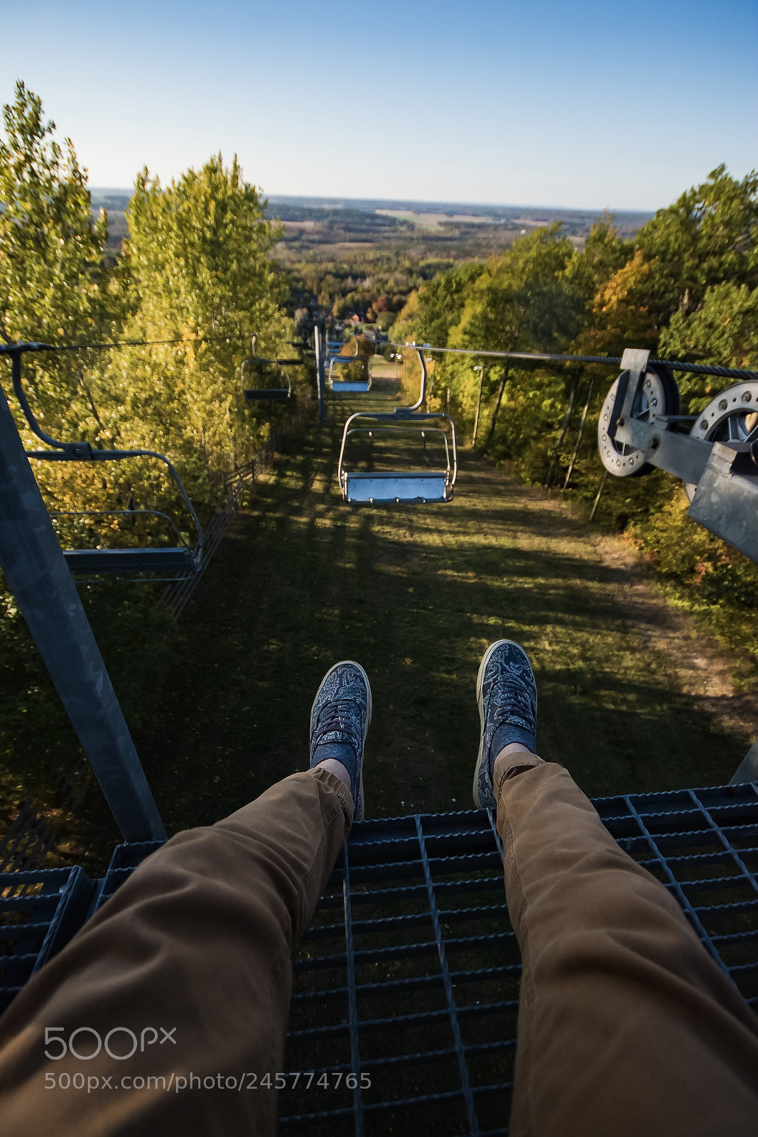 Nikon D5500 sample photo. Perched photography