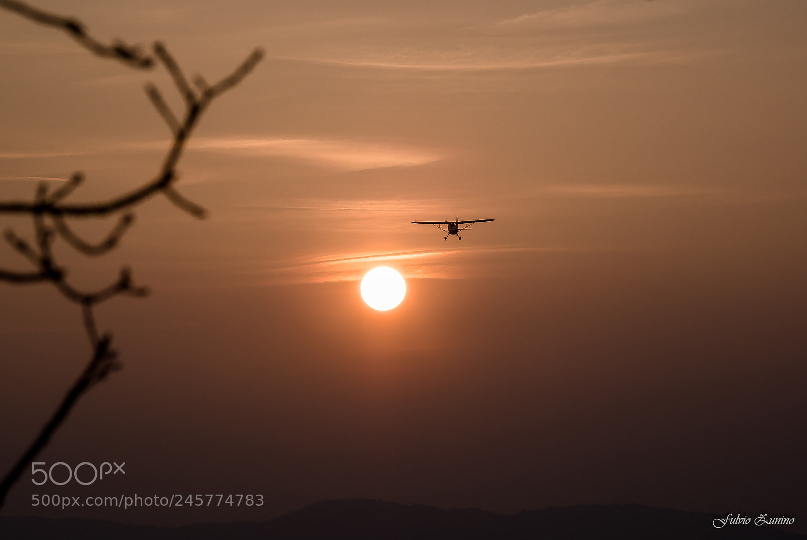 Olympus OM-D E-M1 Mark II sample photo. Flying towards the sunset...... photography