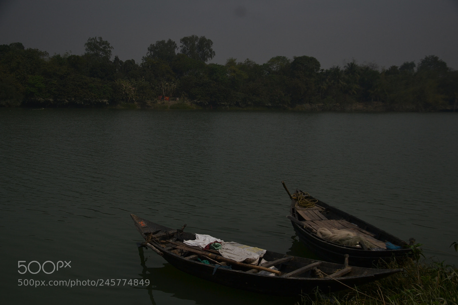 Nikon D3100 sample photo. Untitled photography