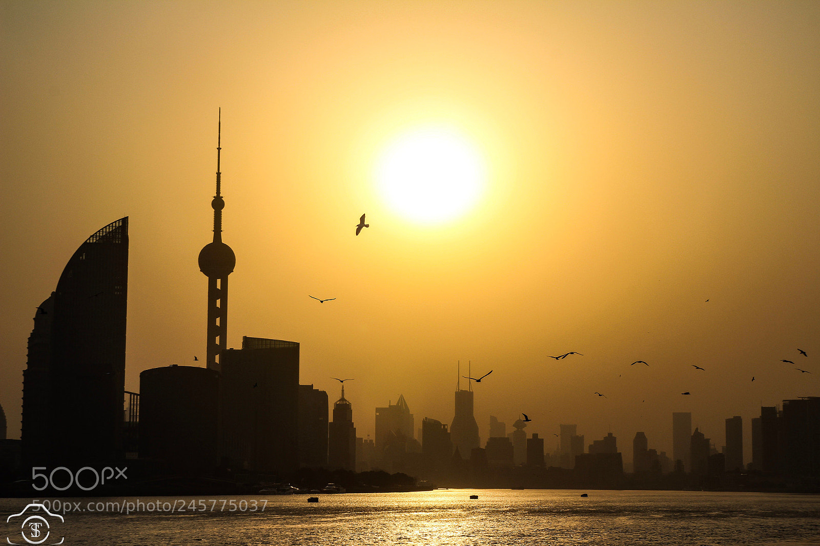 Canon EOS 600D (Rebel EOS T3i / EOS Kiss X5) sample photo. Sunset shanghai!!!! 上海 中国 photography