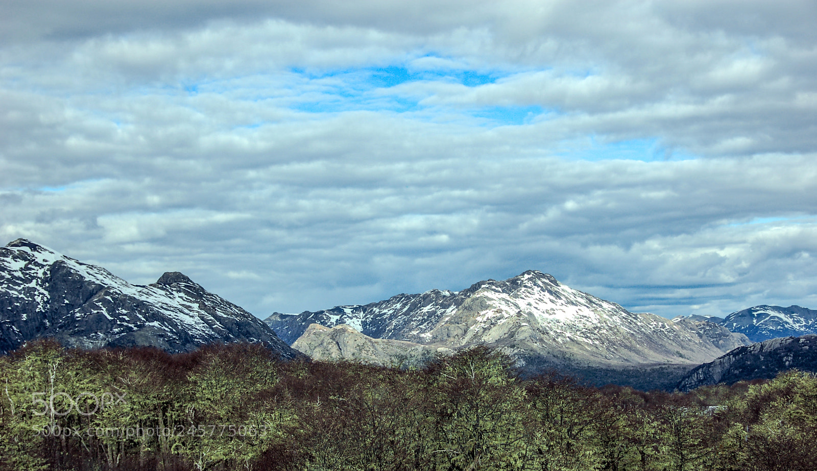 Nikon D50 sample photo. Primavera andina... photography