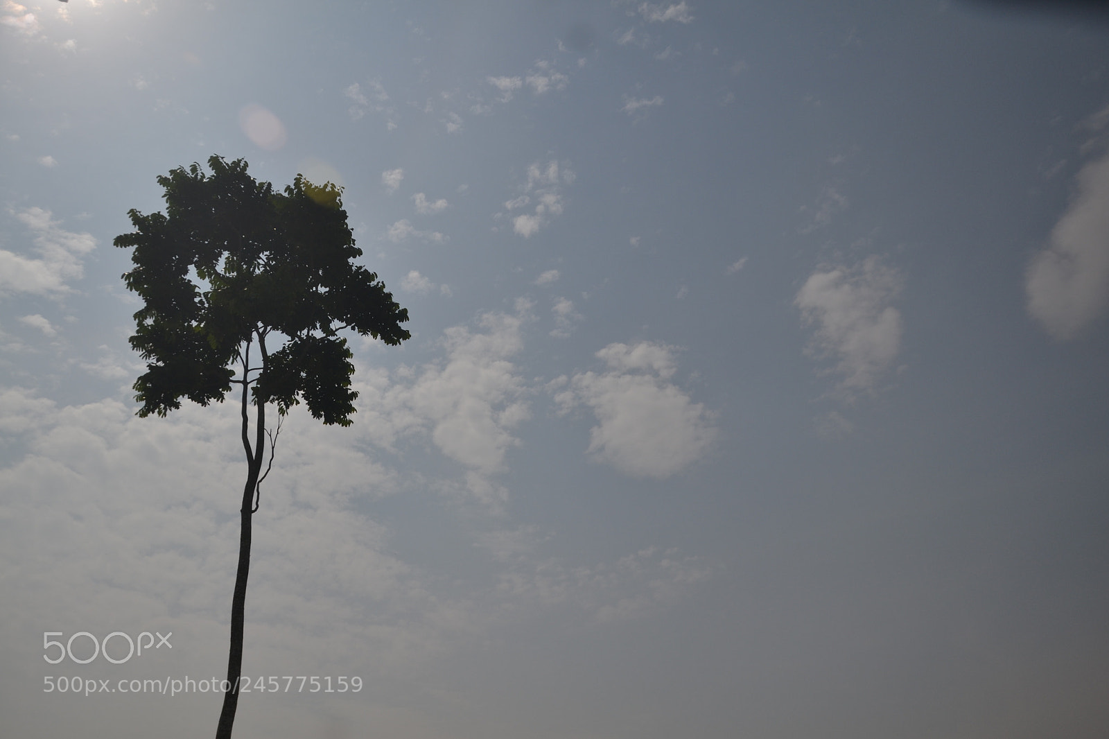 Nikon D3100 sample photo. Untitled photography