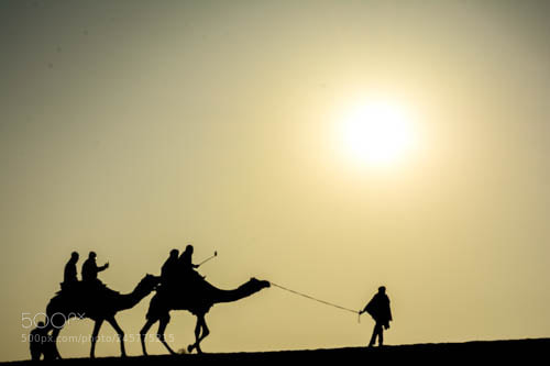 Nikon D5200 sample photo. Camel ride at dusk photography