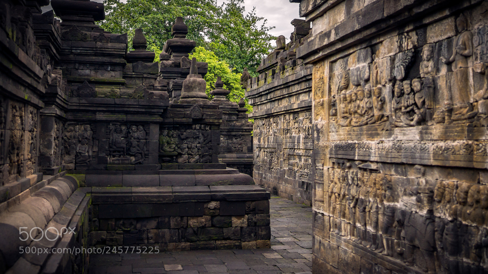 Sony SLT-A77 sample photo. Lost in borobudur photography