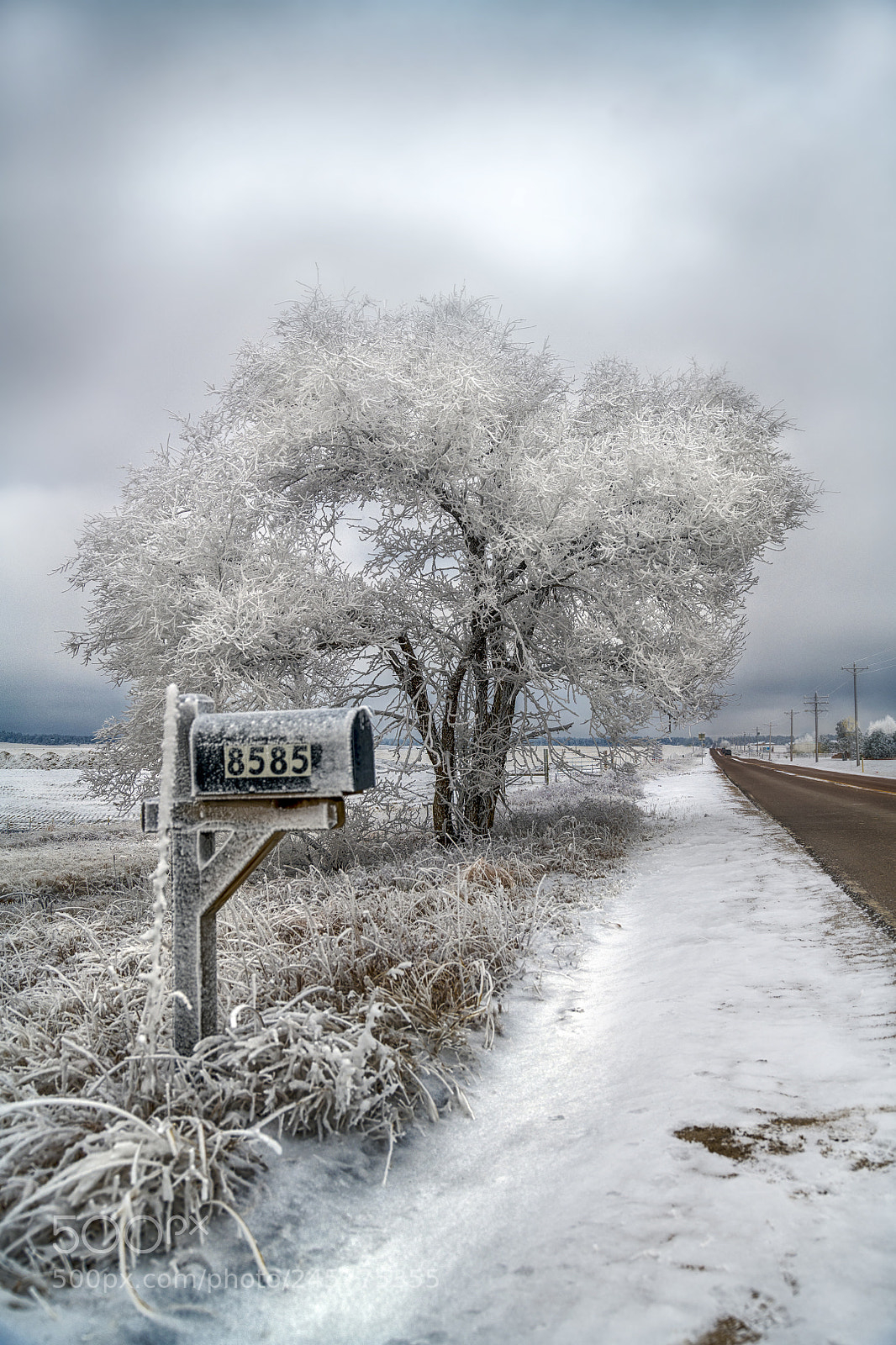 Nikon D850 sample photo. Frozen post photography