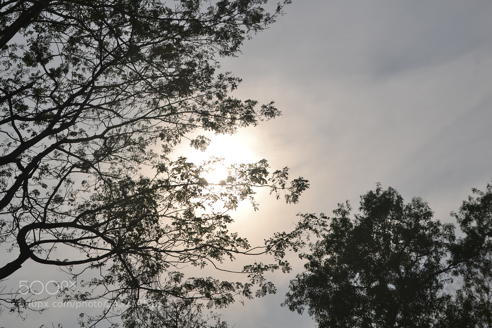 Nikon D3100 sample photo. Untitled photography