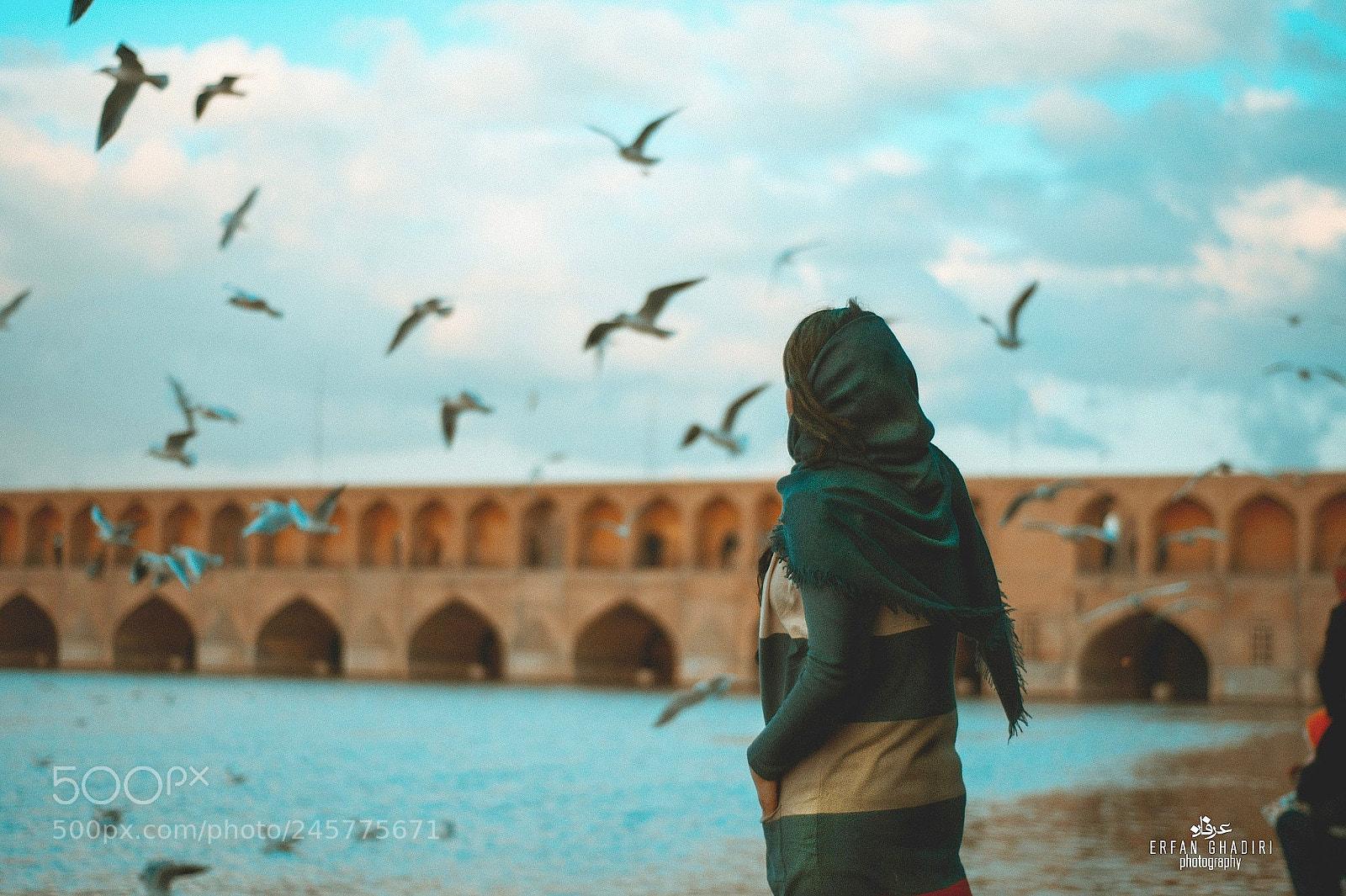 Nikon D7100 sample photo. Untitled photography