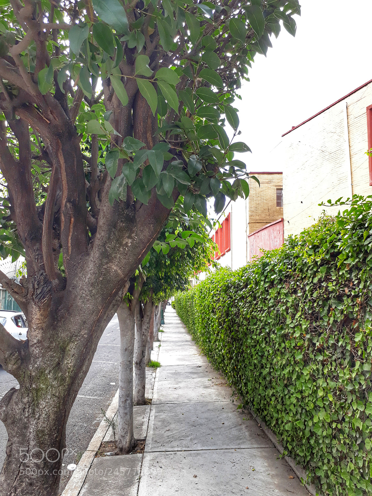 Samsung Galaxy J7 Prime sample photo. Untitled photography