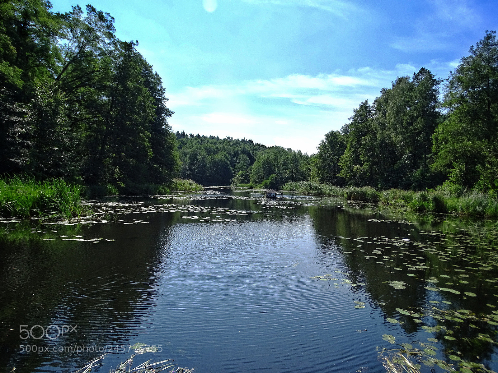 Sony Cyber-shot DSC-HX400V sample photo. Silent water photography