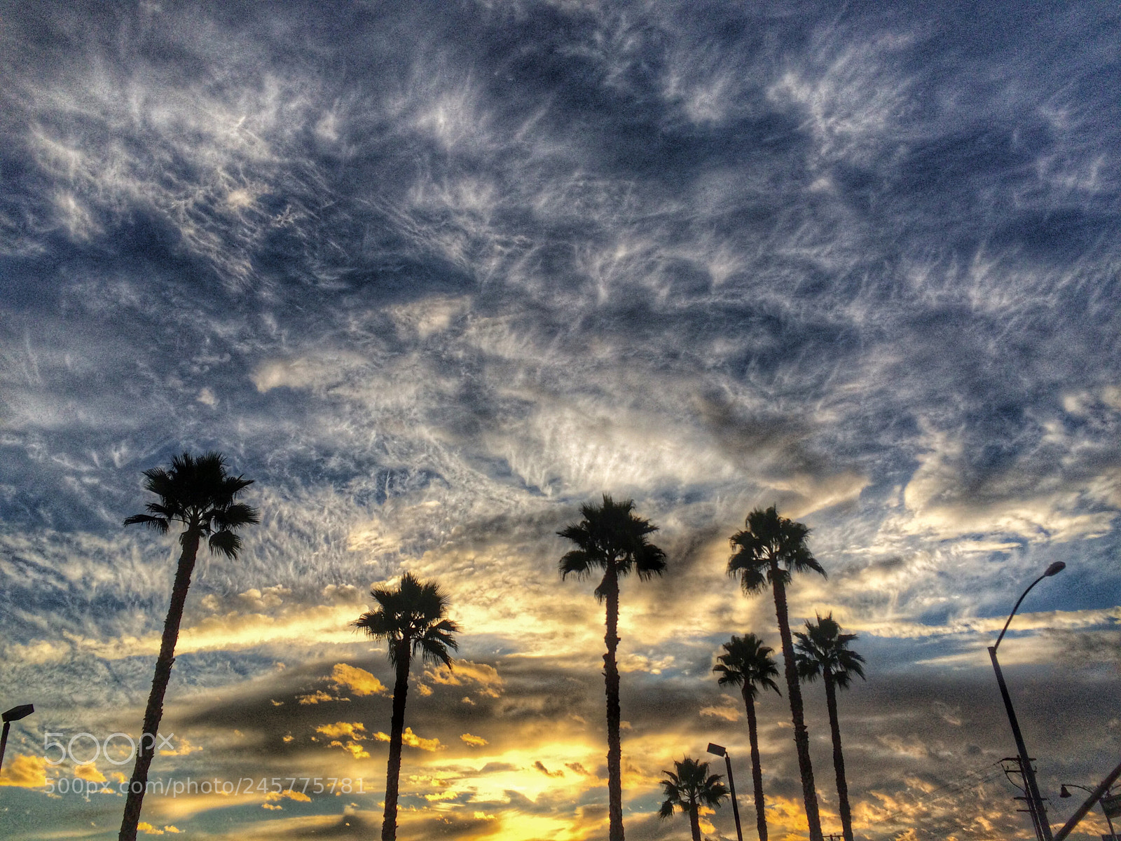 Apple iPhone 5s sample photo. Sunrise palms photography