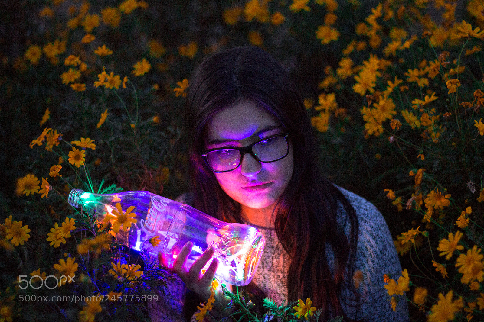 Canon EOS 700D (EOS Rebel T5i / EOS Kiss X7i) sample photo. Lights between flowers photography