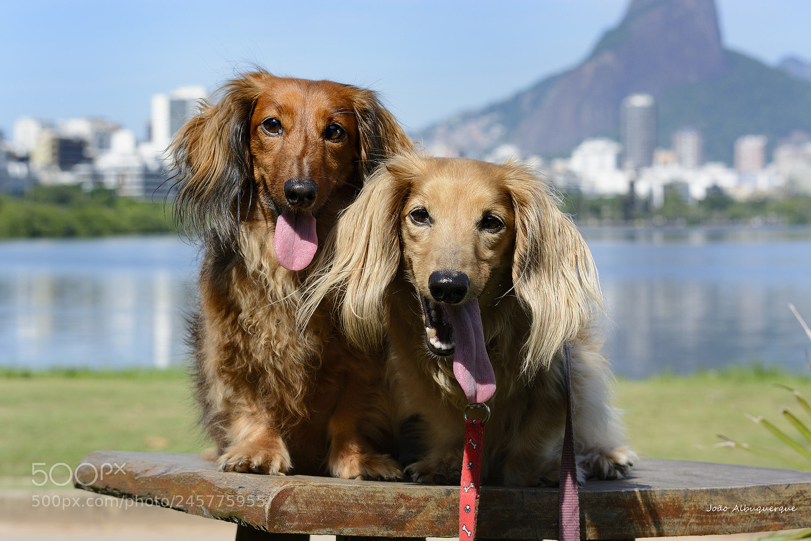 Nikon D5200 sample photo. It was hot in photography