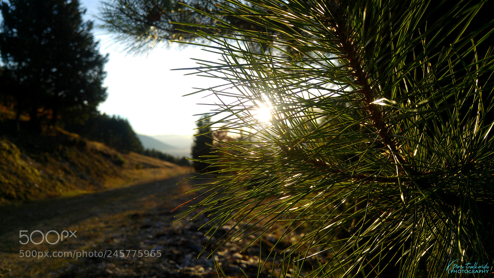 LG G4 sample photo. Just a nature shot photography