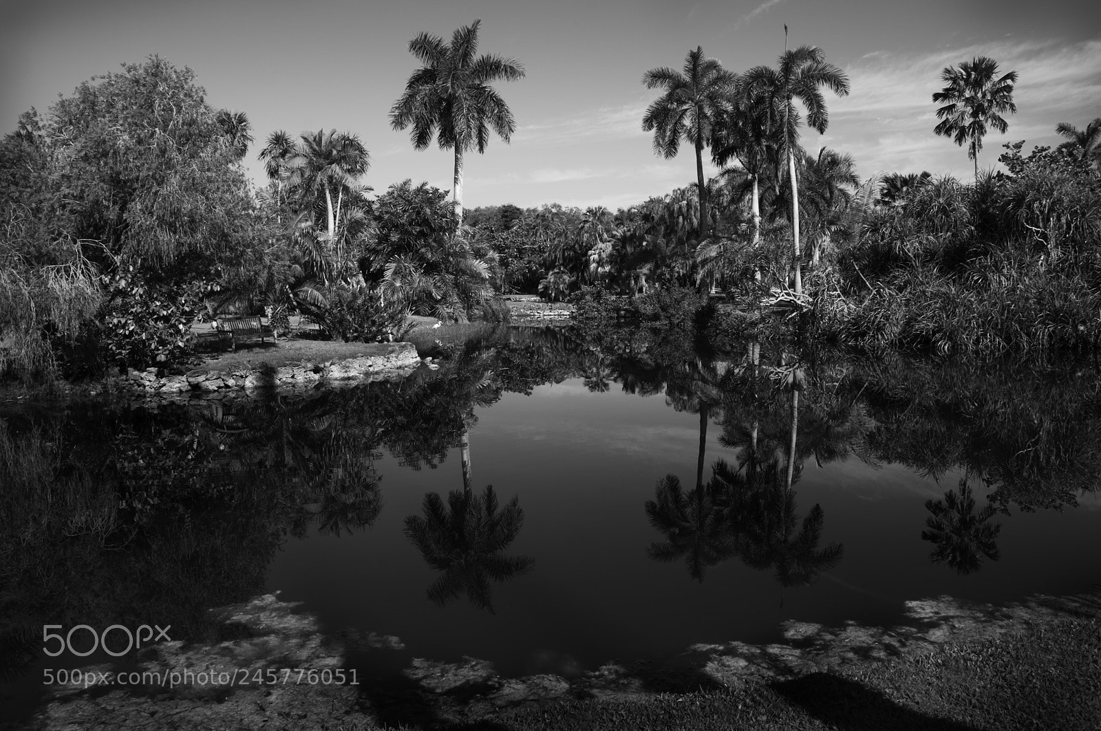 Nikon D300S sample photo. Pcrop sq r bw photography