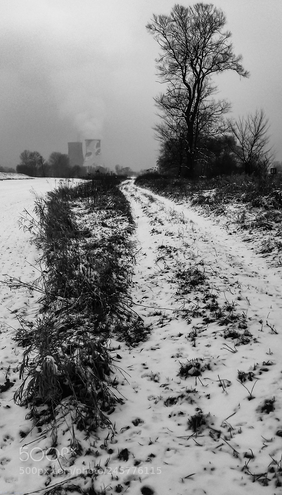 Samsung Galaxy J3(2016) sample photo. Winter photography