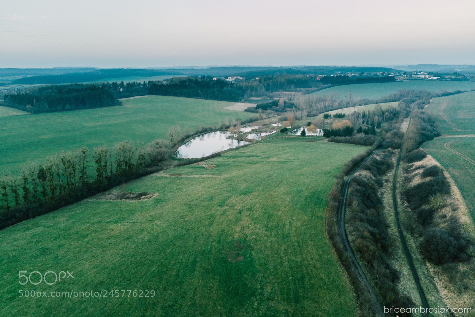 DJI FC220 sample photo. The pond photography