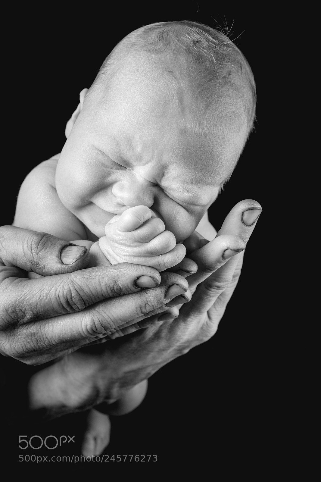 Nikon D800 sample photo. In daddy's hands photography