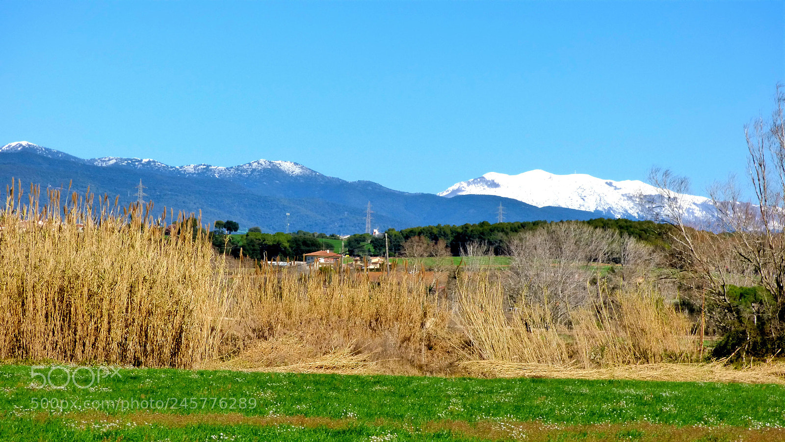 Panasonic DMC-FZ72 sample photo. El montseny desde mi photography