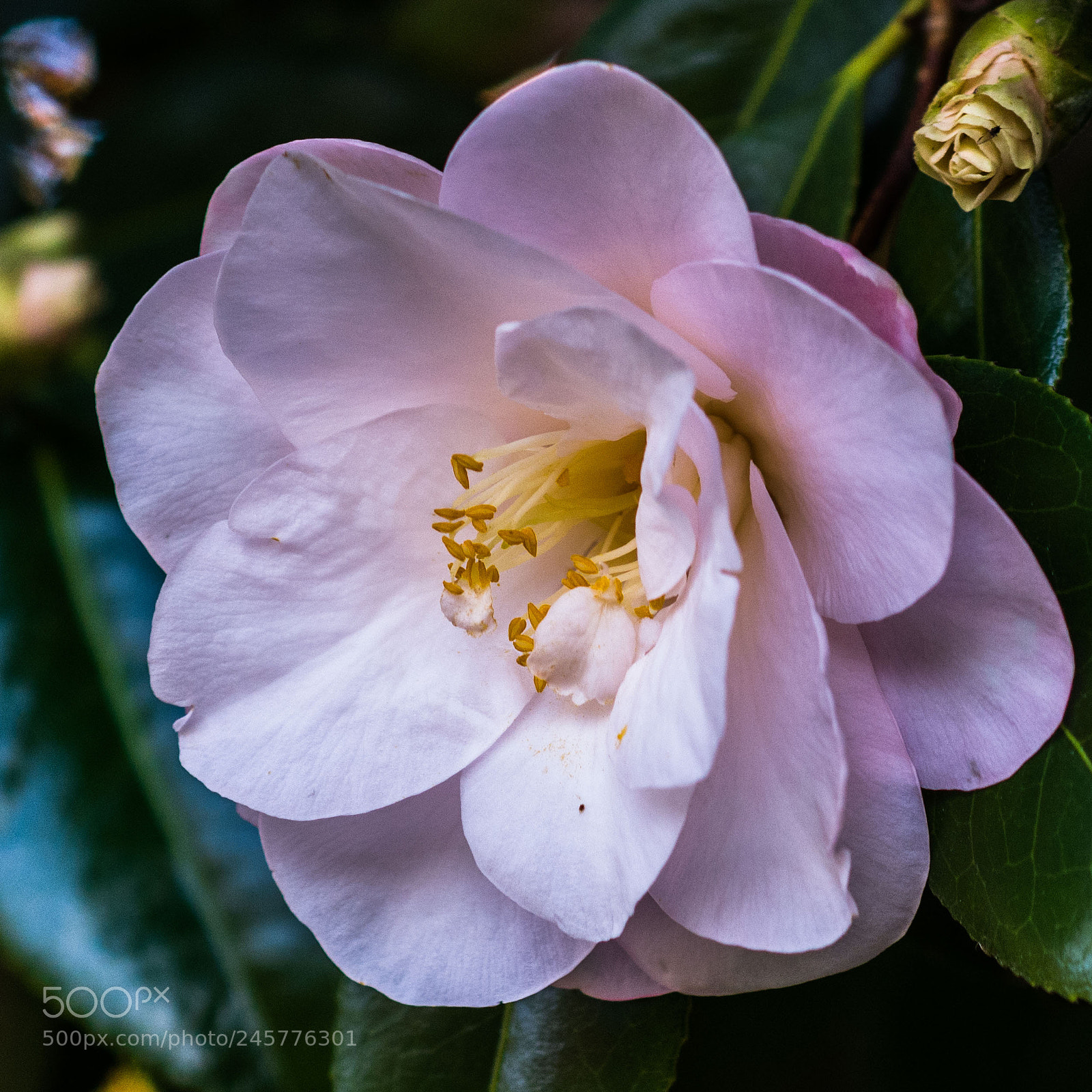 Nikon D5200 sample photo. Tales of life (40) photography