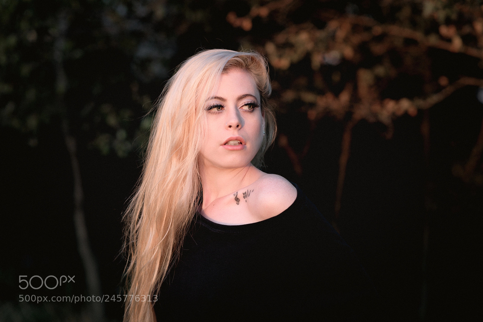 Nikon D810 sample photo. Dark photography