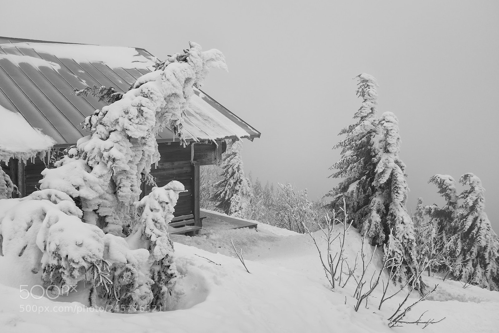 Fujifilm X100T sample photo. Arber hütte photography