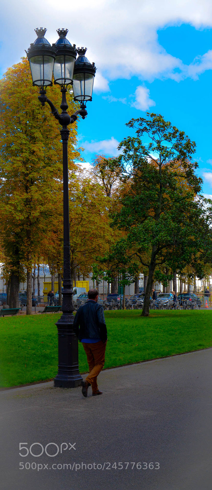 Nikon D5200 sample photo. Walk in the park. photography