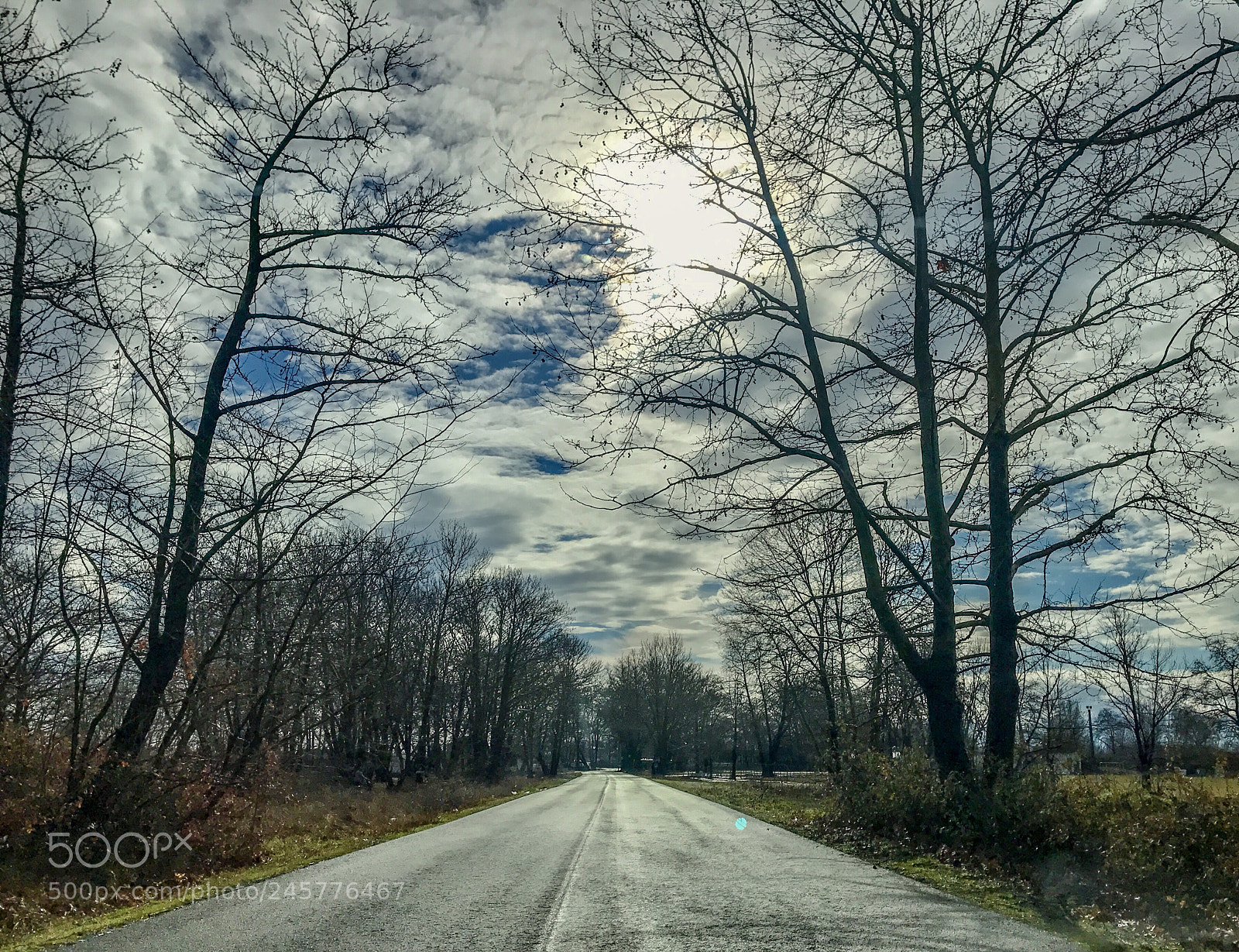 Apple iPhone 7 Plus sample photo. Untitled photography