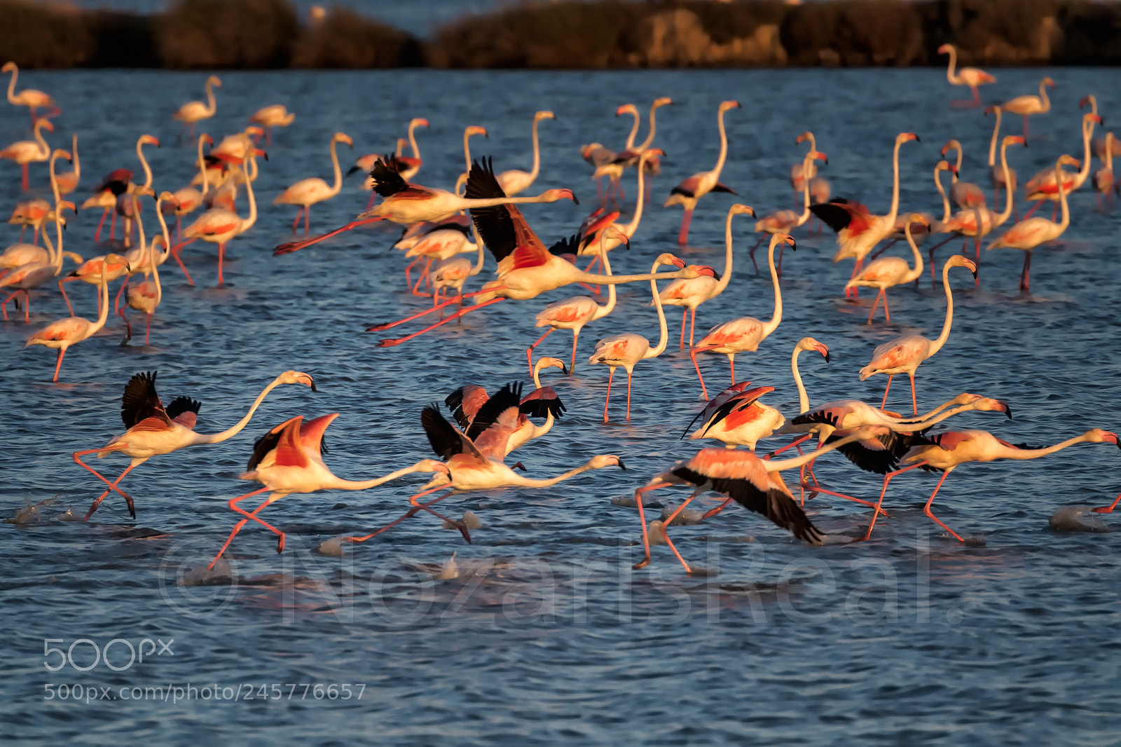Canon EOS 7D Mark II sample photo. Movement. photography