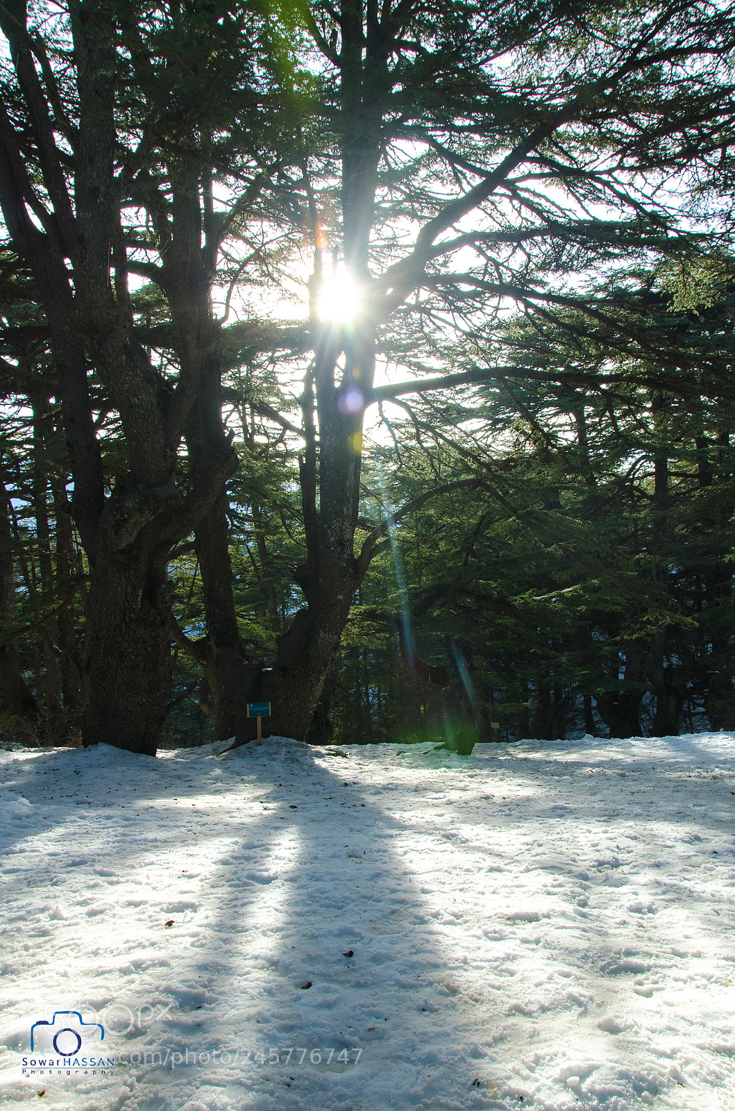 Nikon D5100 sample photo. Behind the scene photography