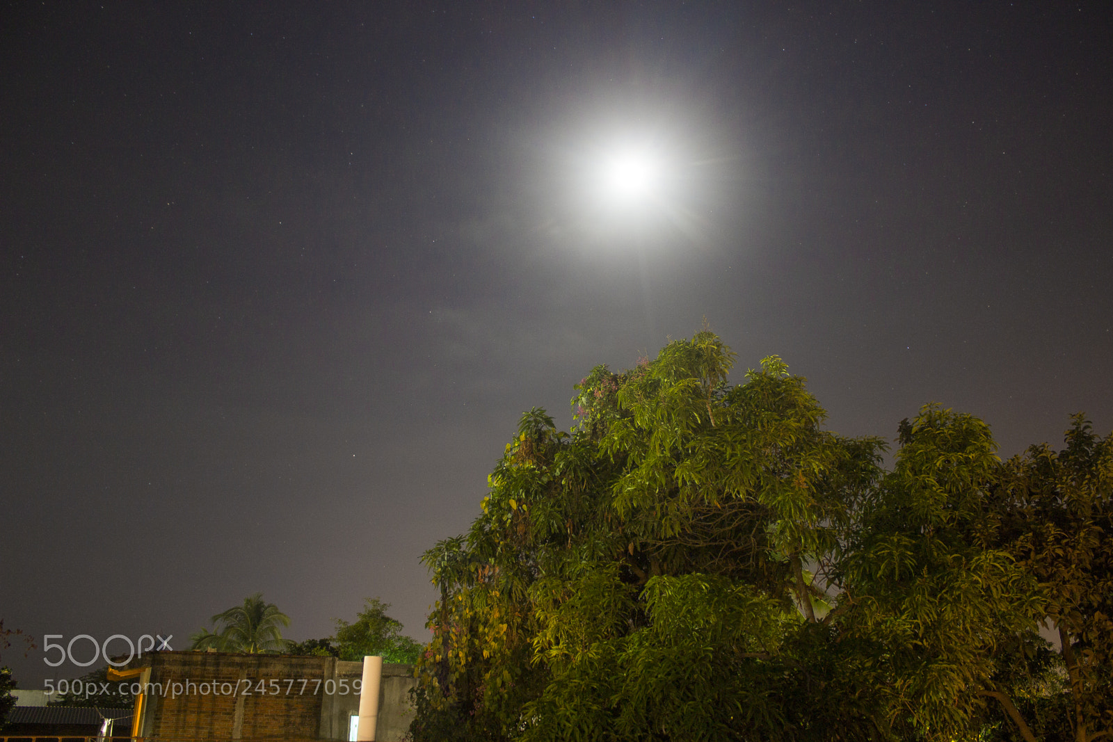 Canon EOS 600D (Rebel EOS T3i / EOS Kiss X5) sample photo. Moon in my sky photography