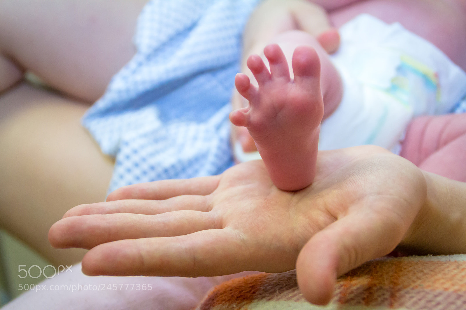 Canon EOS 600D (Rebel EOS T3i / EOS Kiss X5) sample photo. Newborn photography