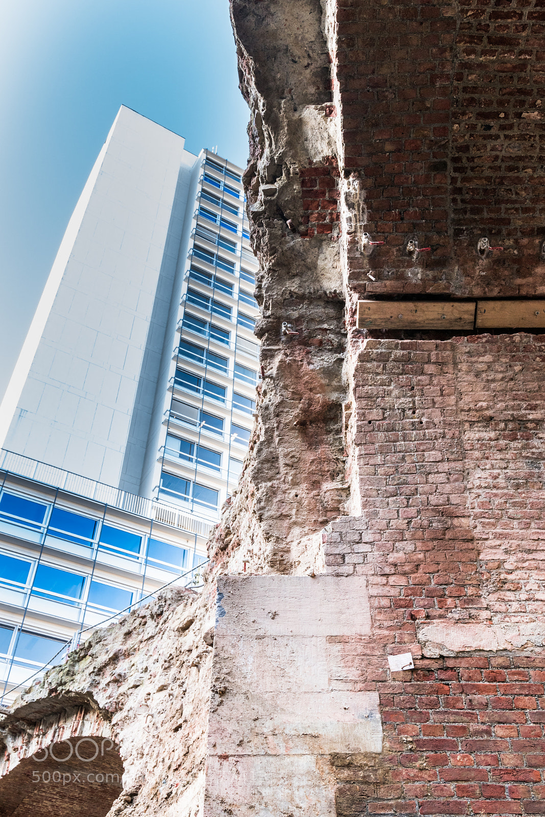 Nikon D5600 sample photo. Old wall awaked and photography