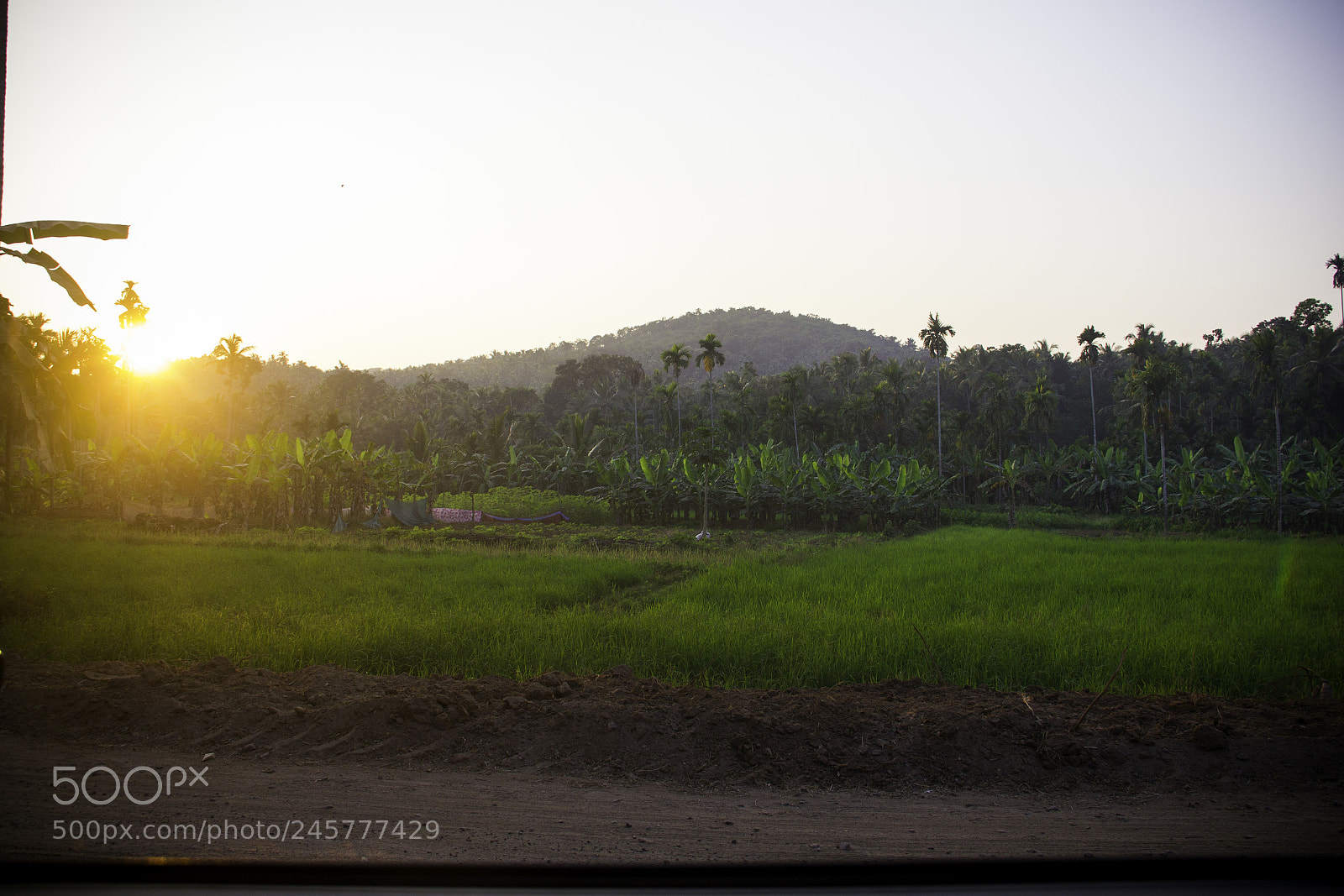 Canon EOS 550D (EOS Rebel T2i / EOS Kiss X4) sample photo. Nature_sunset photography