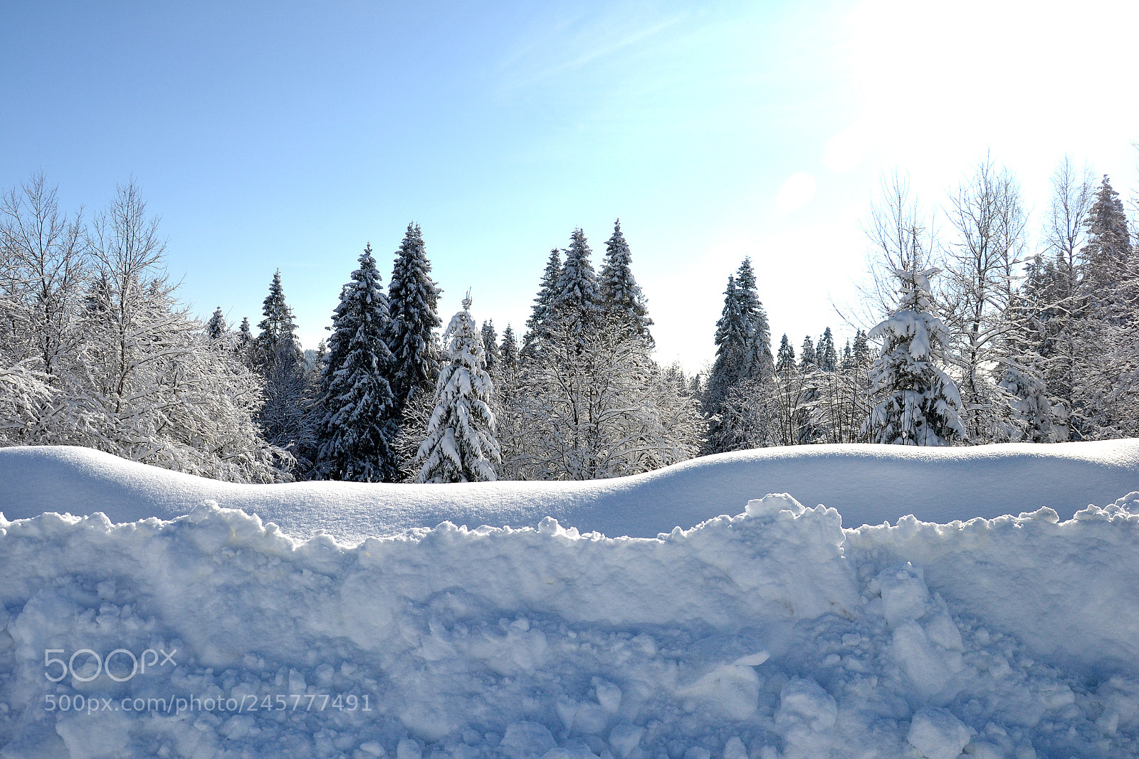 Nikon D3100 sample photo. Winter photography